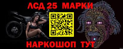 прущие грибы Апшеронск