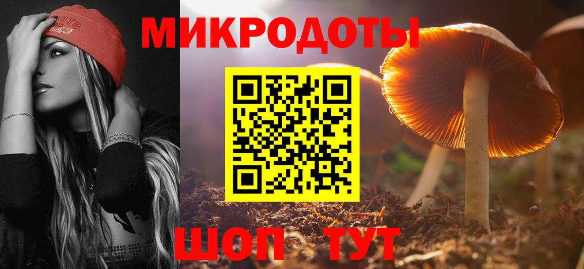 Псилоцибиновые грибы прущие грибы Березники