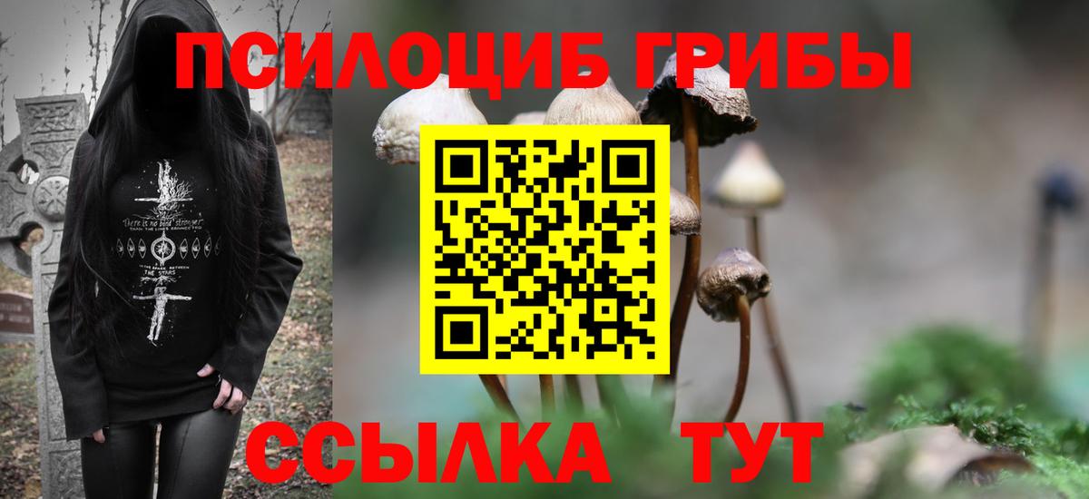 Псилоцибиновые грибы мицелий  Вход с VPN  Березники  Галлюциногенные грибы мицелий 